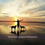 Nordkoenig Mit Sauna Und Whirlpool 別荘 Geestland
