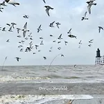 Nordkoenig Mit Sauna Und Whirlpool * Geestland