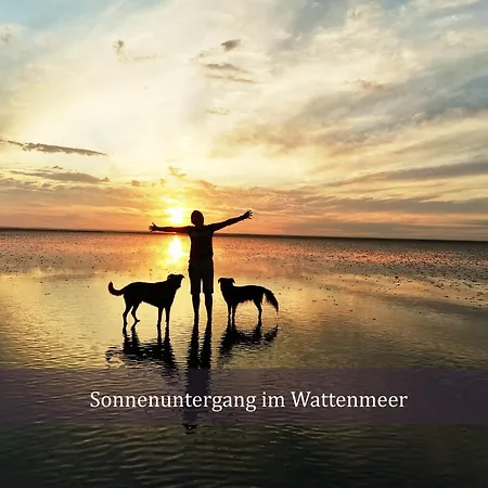 Nordkoenig Mit Sauna Und Whirlpool Prázdninový dům Geestland